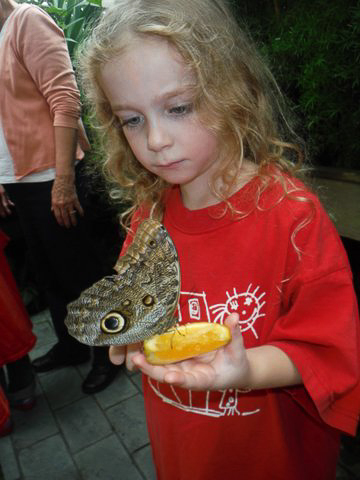 girl with butterfly